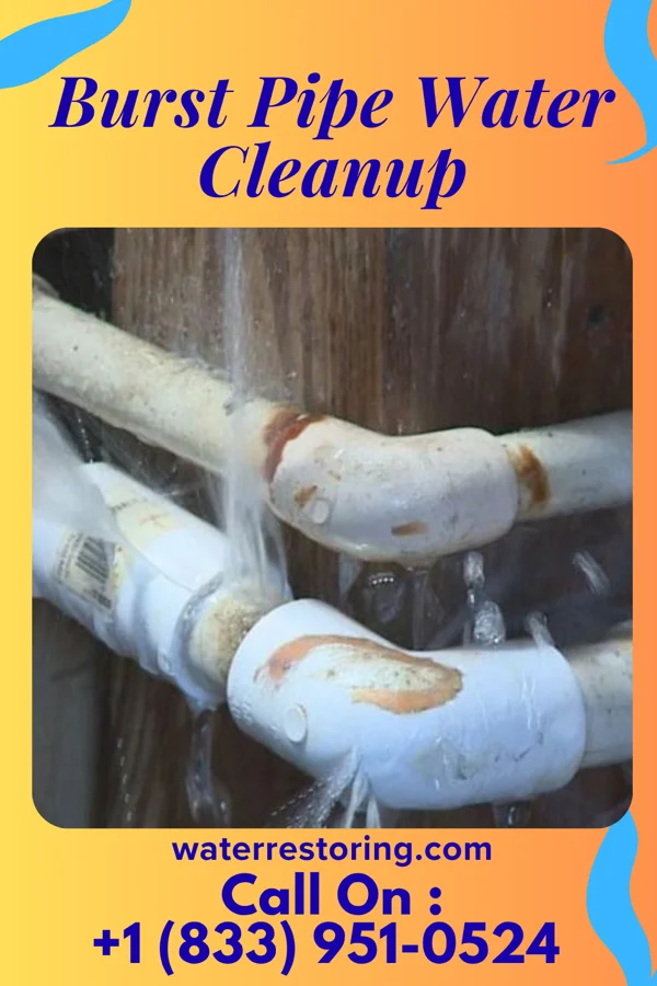 Burst Pipe Water Cleanup in Sunbright, TN