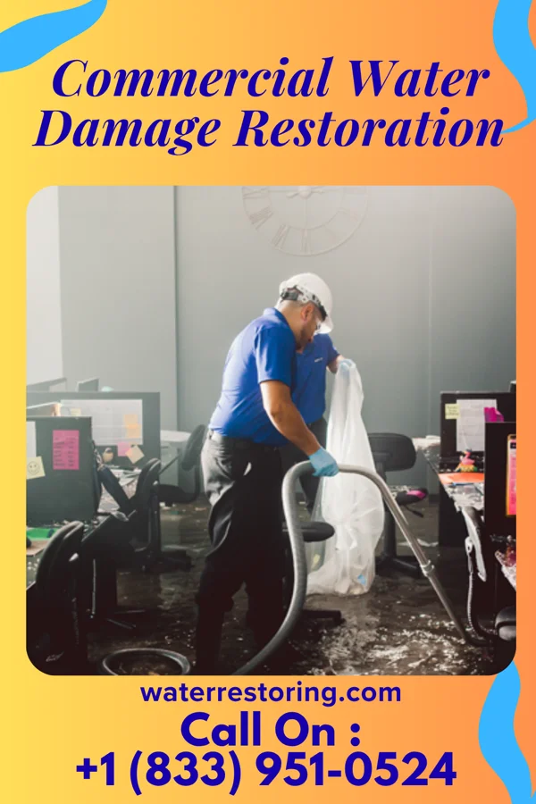 Commercial Water Damage Restoration in Sunbright, TN