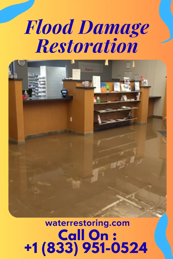 Flood Damage Restoration in Sunbright, TN