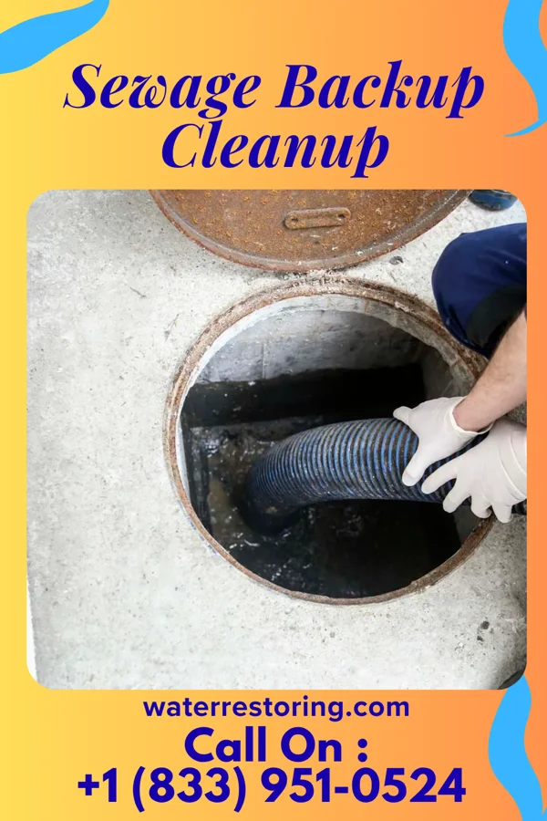 Sewage Backup Cleanup in Sunbright, TN