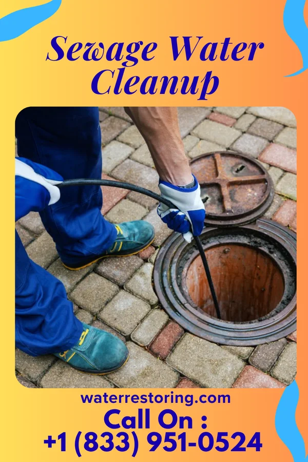 Sewage Water Cleanup in Sunbright, TN